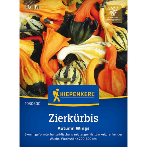 Kiepenkerl Zierkürbis Autumn Wings - 1 Pkg