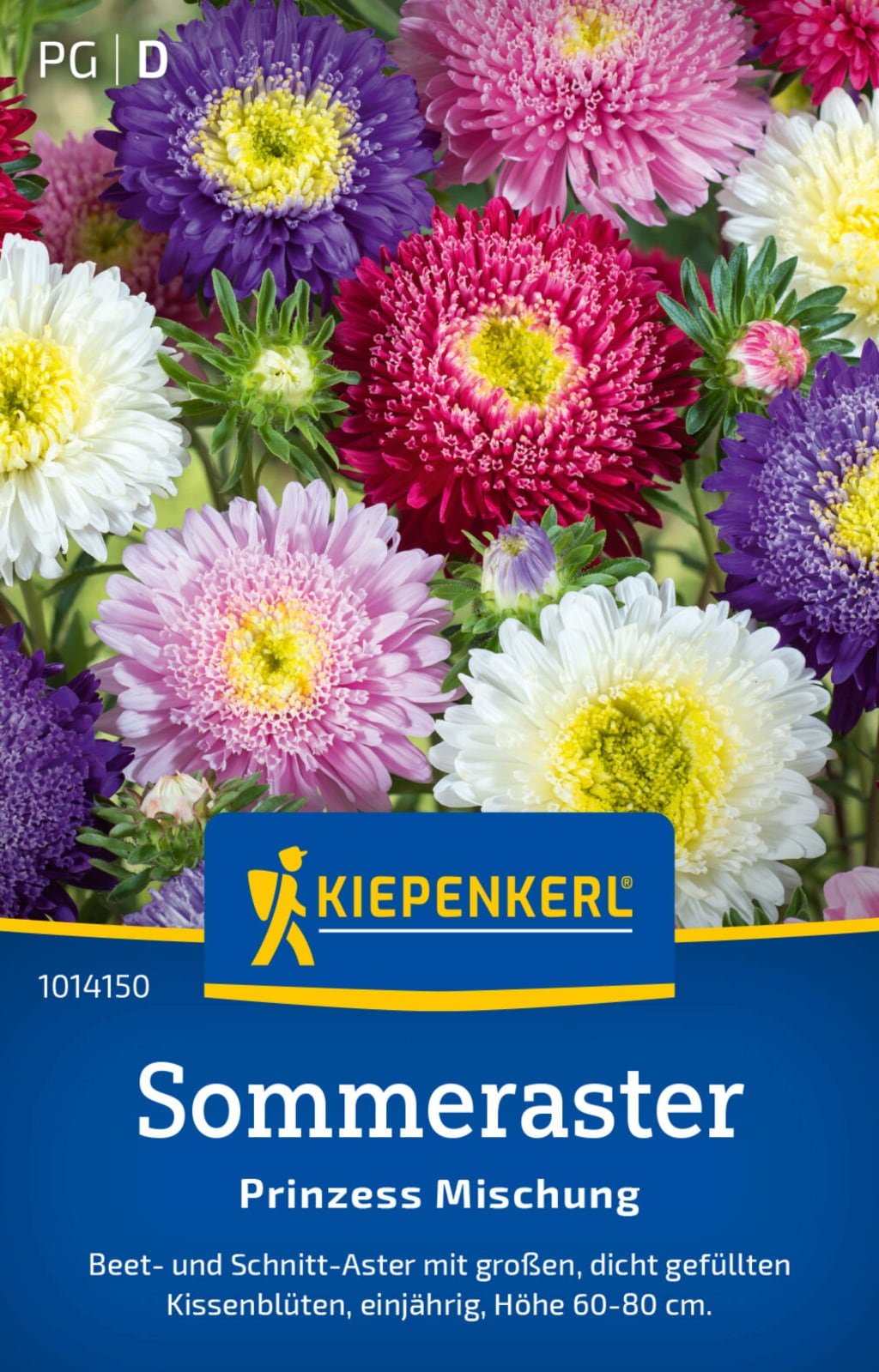 Kiepenkerl Poletne astre 