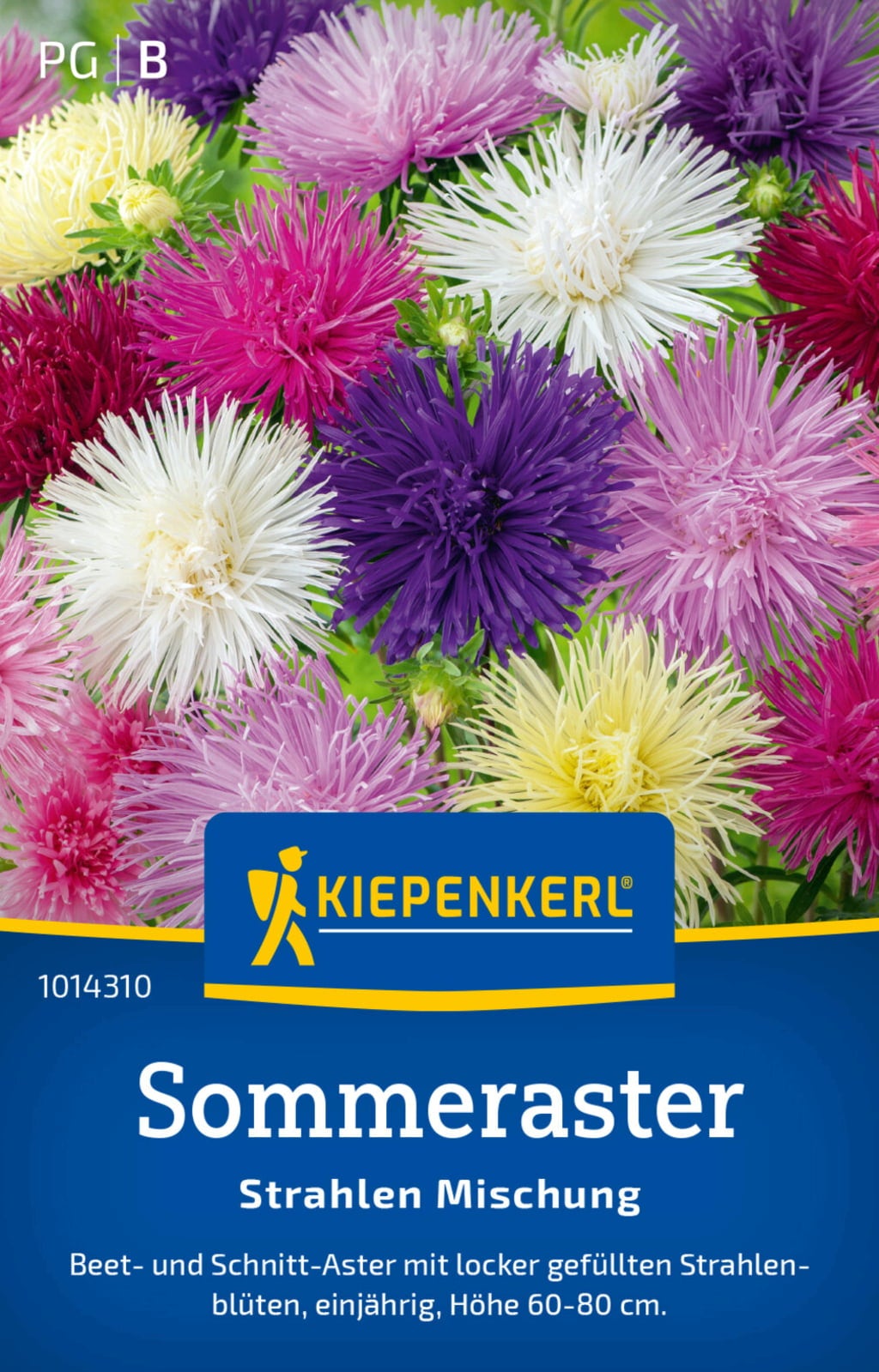 Aster 
