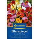 Kiepenkerl Nemesia Mix 