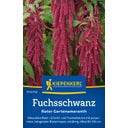 Kiepenkerl Love-Lies-Bleeding 