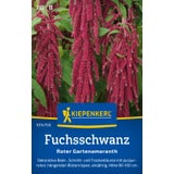 Kiepenkerl Love-Lies-Bleeding "Hanging Spikelets"