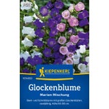 Kiepenkerl Canterbury Bells "Colorful Mixture"