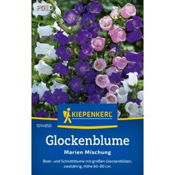 Kiepenkerl Canterbury Bells 