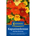 Kiepenkerl Nasturtium 