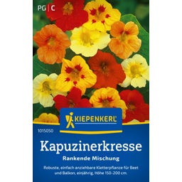 Kiepenkerl Nasturtium 