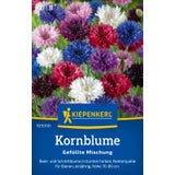 Kiepenkerl Cornflowers "Ruffled Mixture"