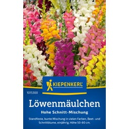 Kiepenkerl Leeuwebek Snijbloemen Mix - 1 Verpakking