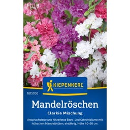 Kiepenkerl Mandelröschen 