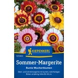 Kiepenkerl Painted Daisy "Bunte Wucherblumen"