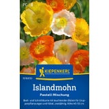 Kiepenkerl Iceland Poppy "Pastell-Mischung"