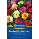 Kiepenkerl Portulaca Mix 