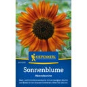 Kiepenkerl Sunflower 