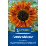 Kiepenkerl Sunflower "Abendsonne"