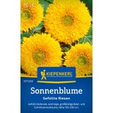 Kiepenkerl Sunflower "Gefüllte Riesen"