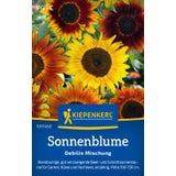 Kiepenkerl Sonnenblume "Debilis Mischung"