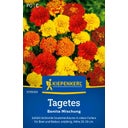 Kiepenkerl Marigolds 