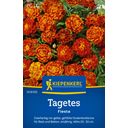 Kiepenkerl Marigold 