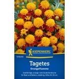 Kiepenkerl Tagetes patula "Orangeflamme"