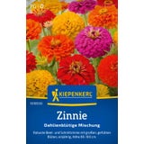 Kiepenkerl Zinnia Mix "Dahlienblütige Mischung"