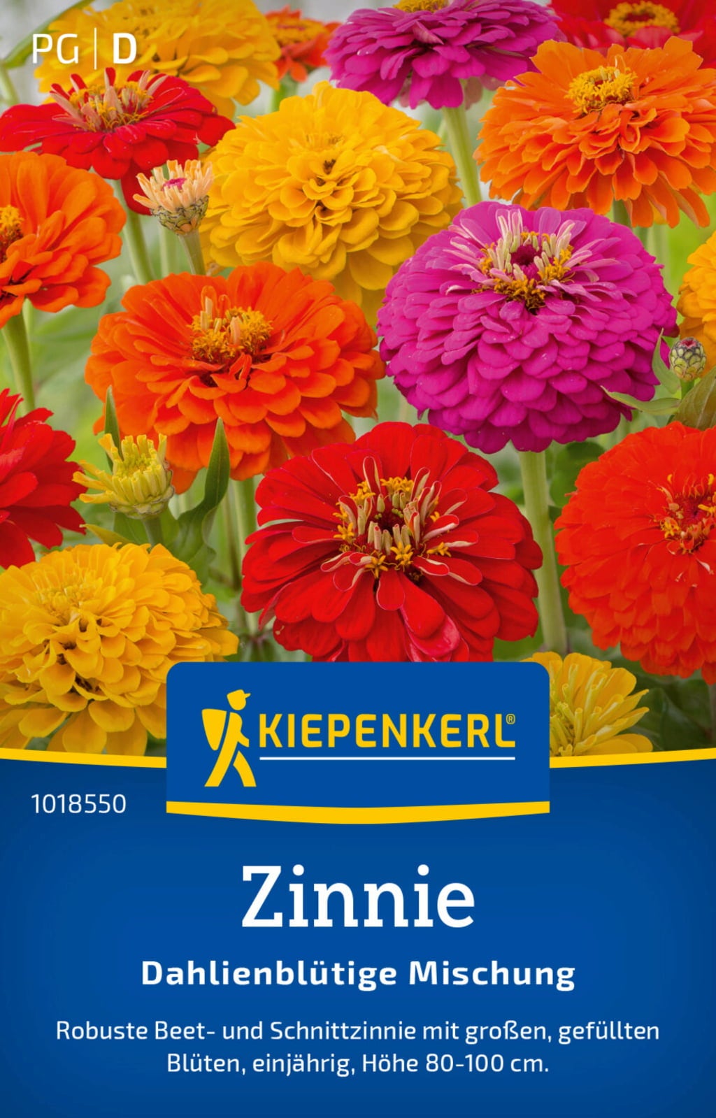 Kiepenkerl Zinnie 