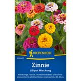 Kiepenkerl Zinnias "Small-flowered Mixture"