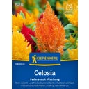 Kiepenkerl Celosia 