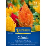 Kiepenkerl Plamenník "Federbusch Mischung"
