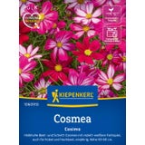 Kiepenkerl Cosmos "Cosimo"