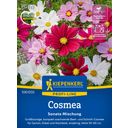 Kiepenkerl Cosmos Sonata Mix - 1 Pkg