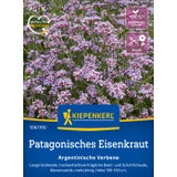 Kiepenkerl Verbena "Argentinische Verbene"