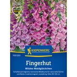 Kiepenkerl Foxglove