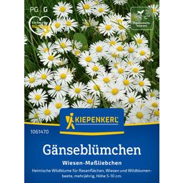 Kiepenkerl Daisies - 1 Pkg