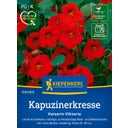 Kiepenkerl Nasturtium 