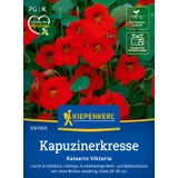 Kiepenkerl Nasturtium "Kaiserin Viktoria"