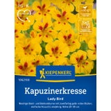 Kiepenkerl Nasturtium "Lady Bird"