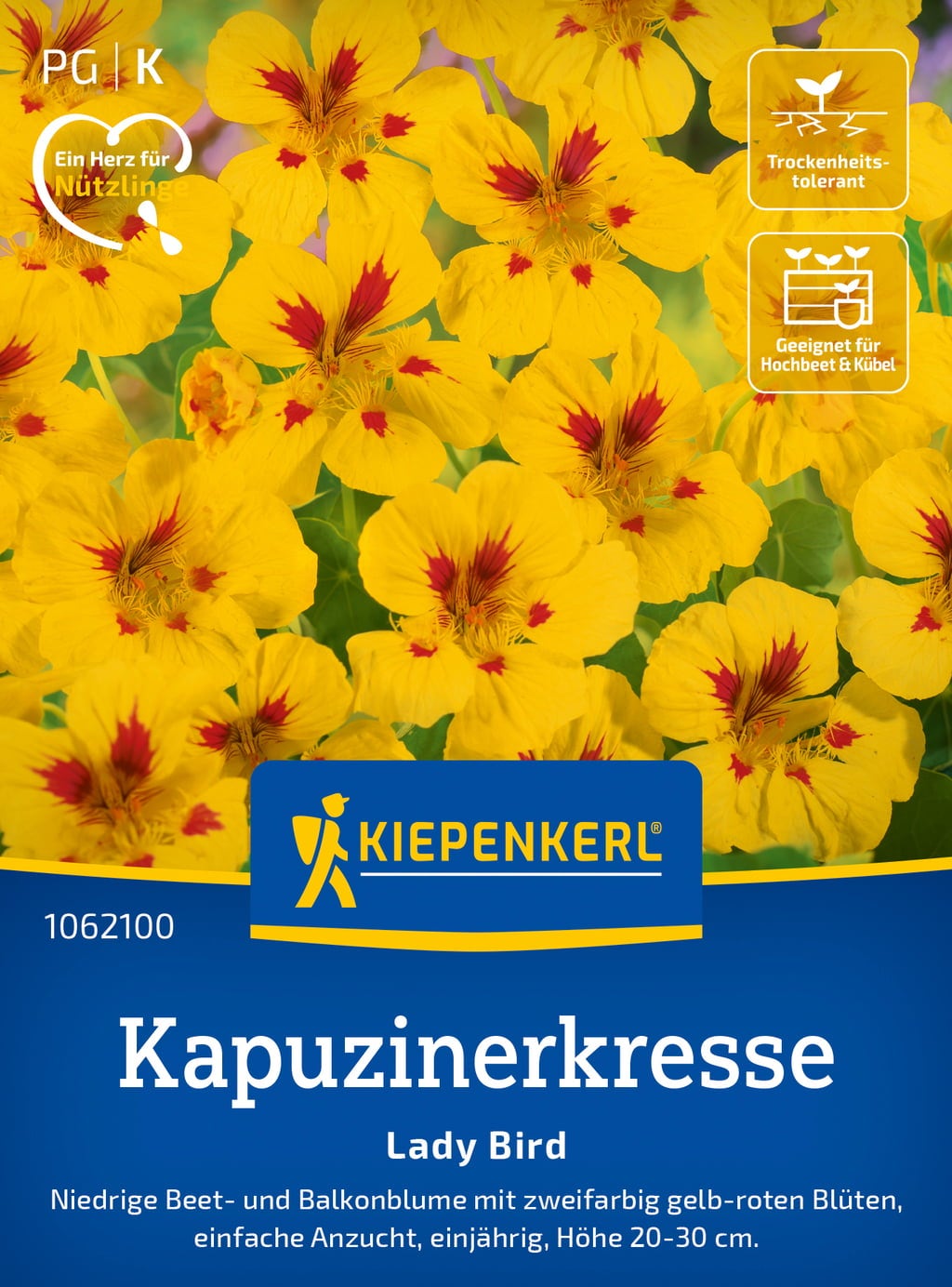 Kapuzinerkresse 