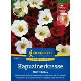 Kiepenkerl Nasturtium "Night & Day"