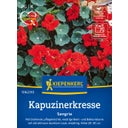 Kiepenkerl Nasturtium 