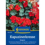 Kiepenkerl Nasturtium "Sangria"