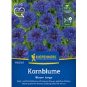 Kiepenkerl Cornflower 