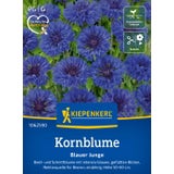 Kiepenkerl Cornflower "Blue Boy"