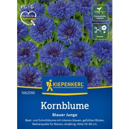 Kiepenkerl Cornflower 