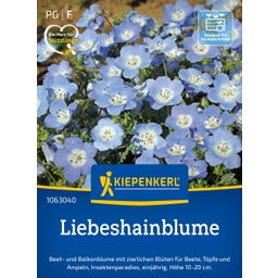 Kiepenkerl Liebeshainblume 