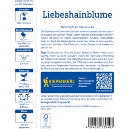 Kiepenkerl Liebeshainblume 