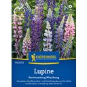 Kiepenkerl Lupins 