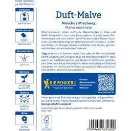 Kiepenkerl Musk Mallow Mix - 1 Pkg