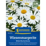 Kiepenkerl Ox-Eye Daisy "Wilde Wucherblume"