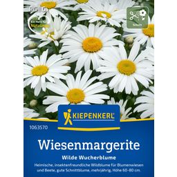 Kiepenkerl Ox-Eye Daisy 