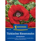 Kiepenkerl Giant Poppy - Olympiafeuer